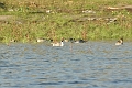 2013 02 09_7089_edited-1